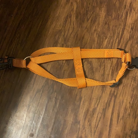 Halo Step-In Dog Harness and Leash Set - Picture 2 of 7